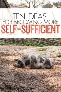 Being self-sufficient provides you with such an amazing sense of accomplishment and can help save money! Here are ten ideas for more self-sufficient living.