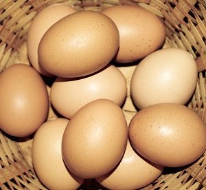 Don't put all your eggs in one basket, even the pension backet.