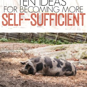 Being self-sufficient provides you with such an amazing sense of accomplishment and can help save money! Here are ten ideas for more self-sufficient living.