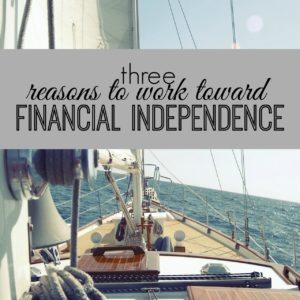 Working toward financial independence has become a popular and very worthy goal. Here's why it's so popular and how to get started!