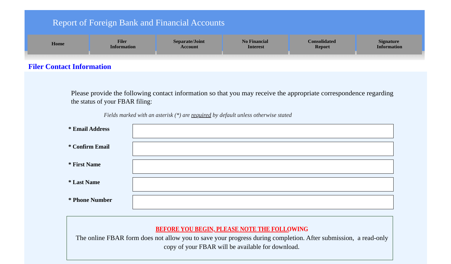 Screenshot of the FBAR Online Form